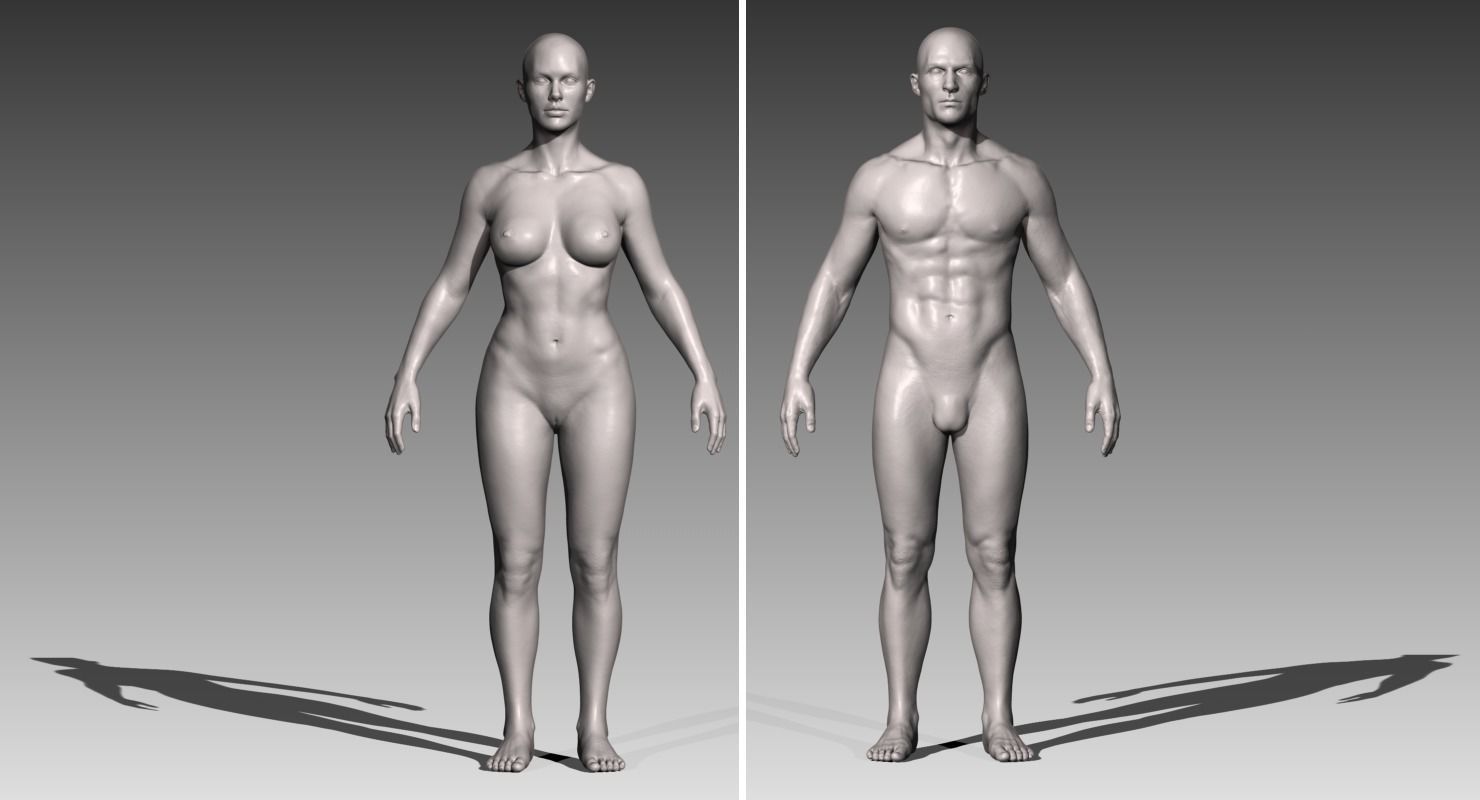 realistic white male and female bundle 3d model obj ztl