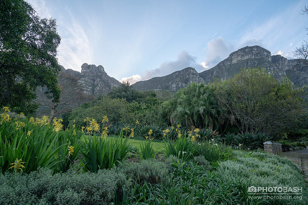 Prehistoric Garden South Africa Park