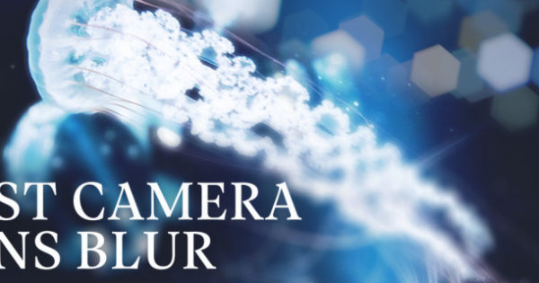 Photoshop lens blur Photoshop lens blur