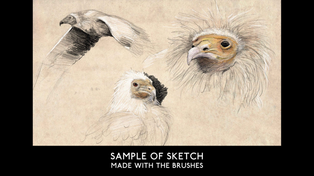 ArtStation - Traditional Brush by Quentin Gabriel Preview 4