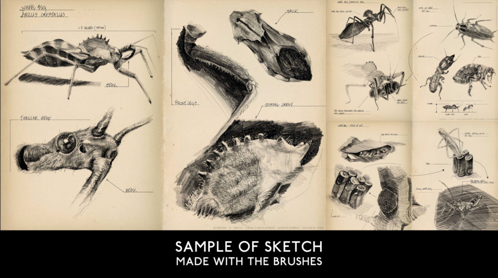 ArtStation - Traditional Brush by Quentin Gabriel Preview 8
