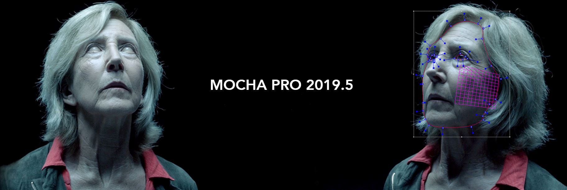 mocha19.5 FI