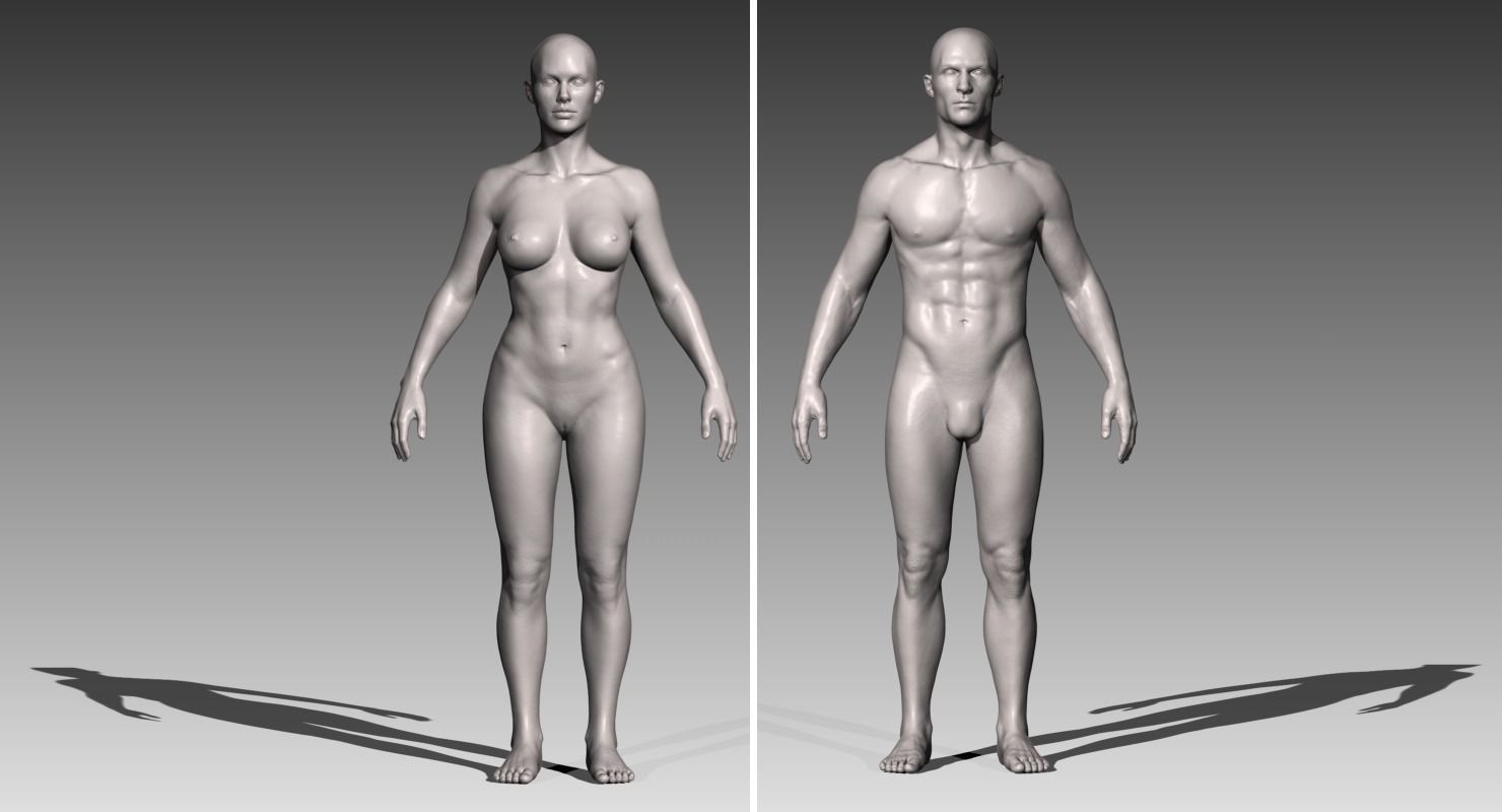 3d Female Free