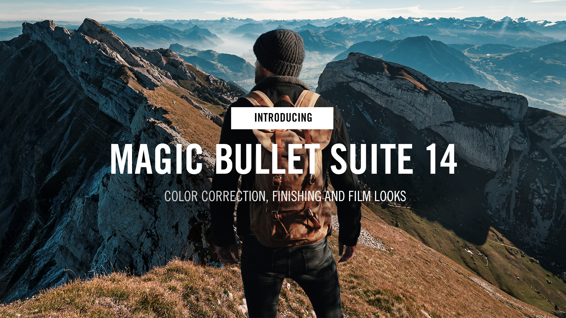 Magic Bullet Suite 14 Blog