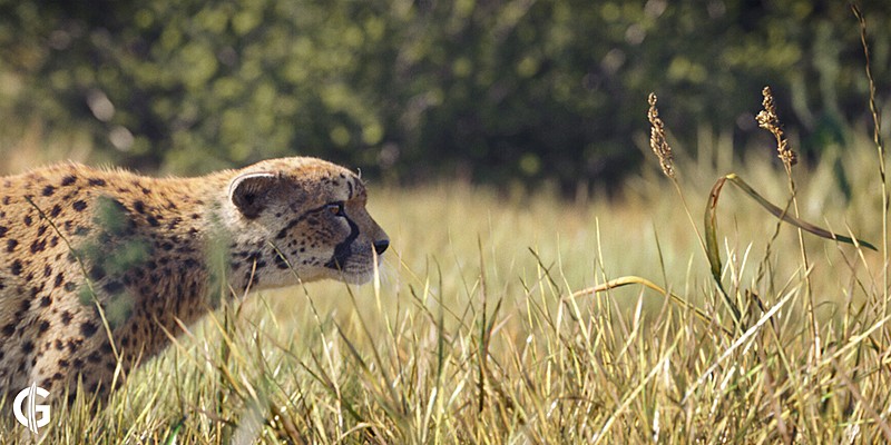 image processing20190829 4 1fi3snv