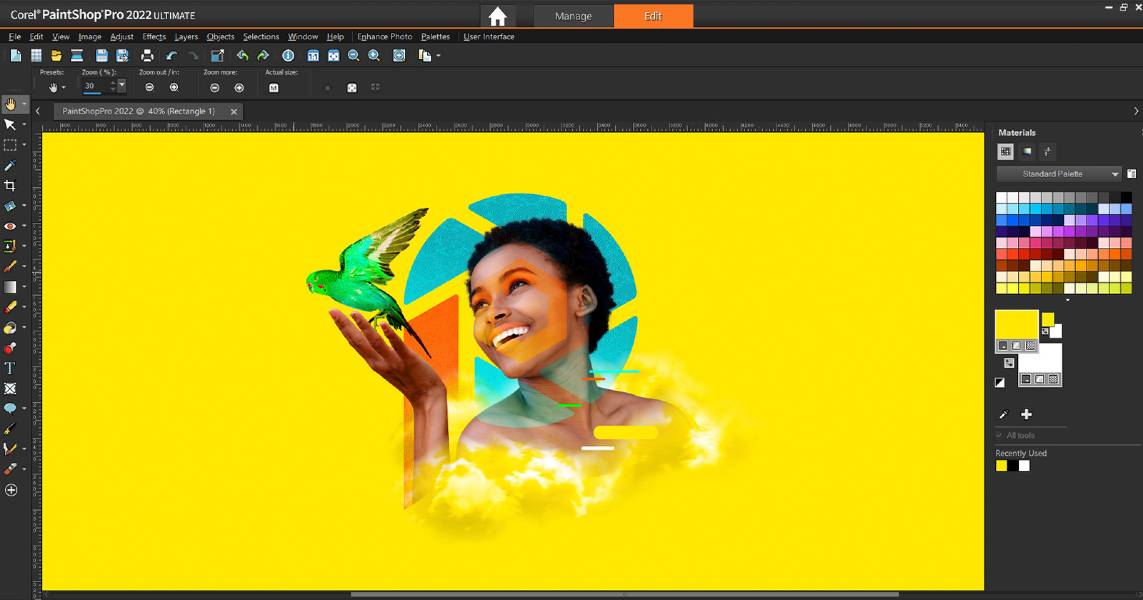 Corel Paintshop Pro Ultimate v2022