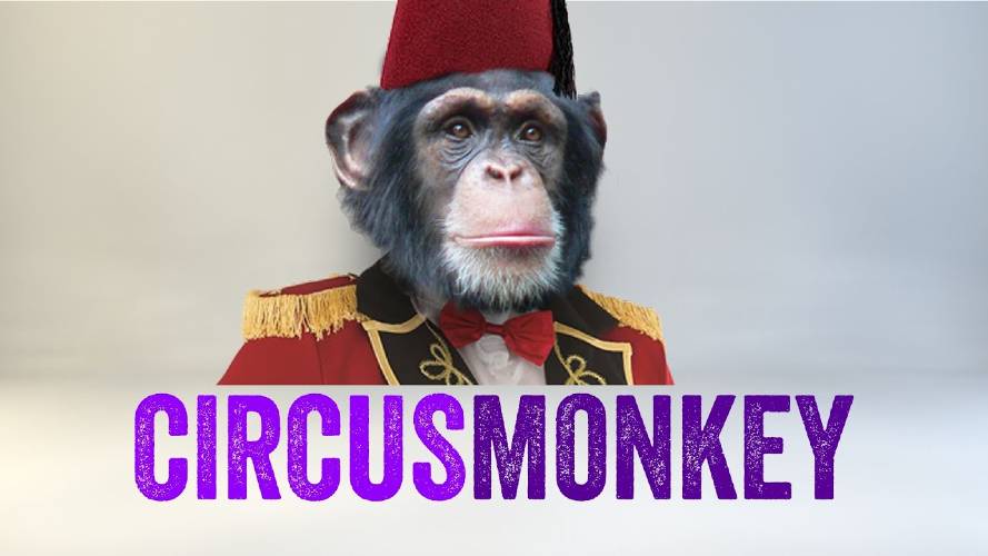 CircusMonkey