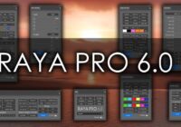 Raya Pro 6