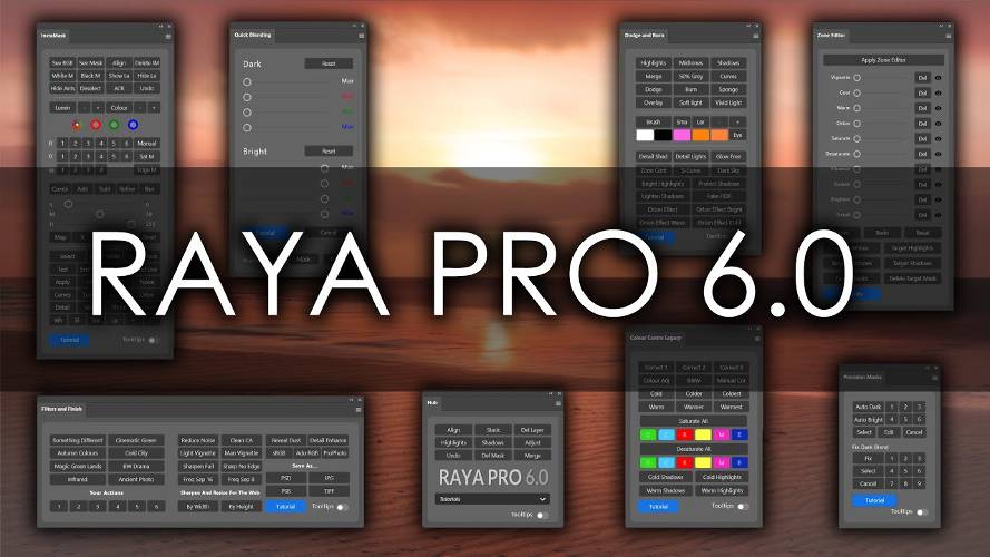 Raya Pro 6