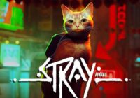 Stray