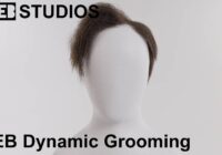 Dynamic Grooming