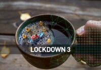 Lockdown 3