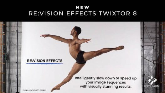 Twixtor 8