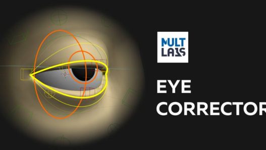 Eye Corrector