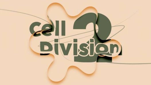 Cell Division 2