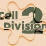 AEScripts Cell Division 2 v1.1.0 for After Effects Full Version Free Download Cell Division 2
