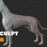 SpeedSculpt 0.34 for Blender Free Download SpeedSculpt