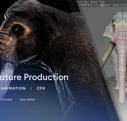 3D Creature Production Rigging, Animation, CFX