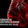 DoubleJump Academy - Recreating the Flesh Portal in Houdini