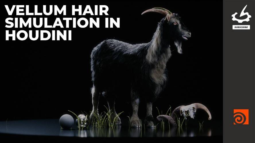 The Gnomon Workshop - Vellum Hair Simulation