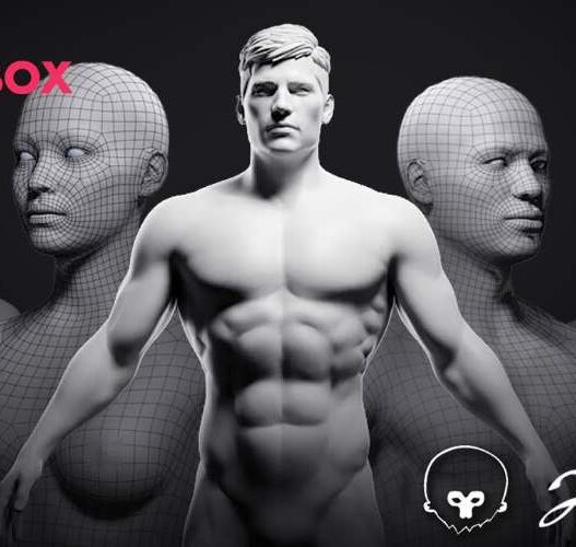 FlippedNormals - The Ultimate Character Basemesh & Anatomy FlipBox Free Download The Ultimate Character Basemesh & Anatomy FlipBox