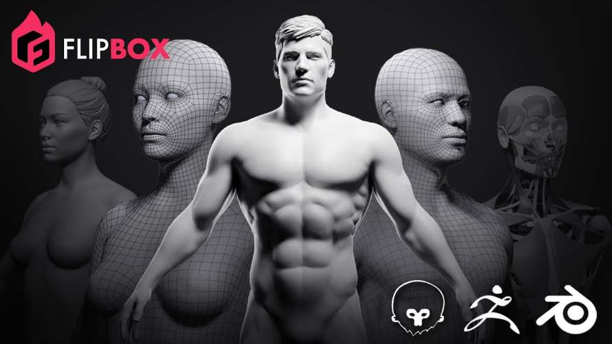 The Ultimate Character Basemesh & Anatomy FlipBox