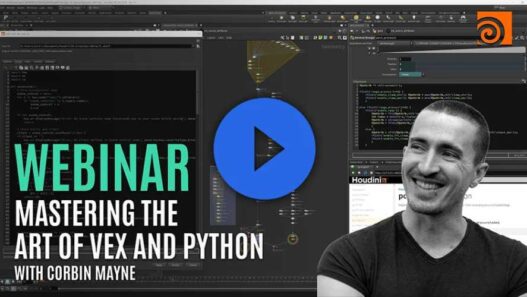 Mastering The Art of VEX and Python