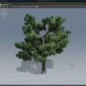 SpeedTree Modeler 10.2 Full Version Free Download SpeedTree