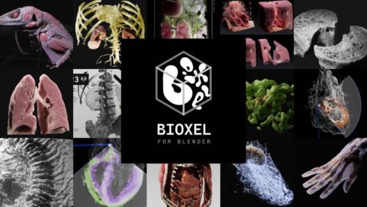 Bioxel Nodes