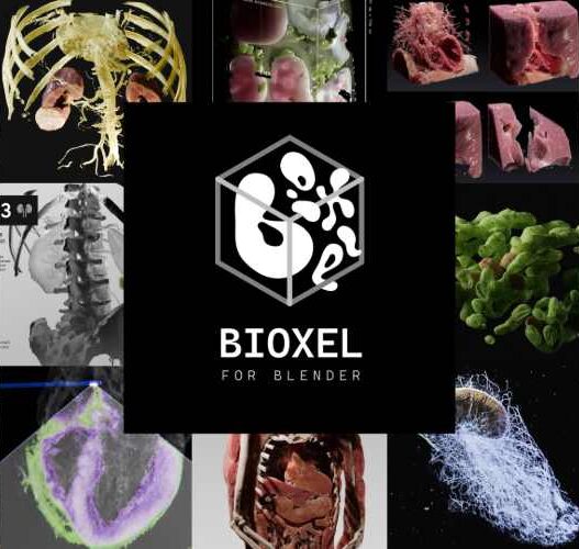 Bioxel Nodes
