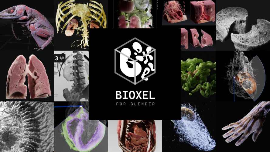 Bioxel Nodes v2.0.0 Free Download Bioxel Nodes