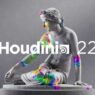 SideFX Houdini 22.0.368 WIN Full Version Free Download Houdini 22