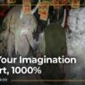 Coloso - Transforming Imagination into Semi-Realistic Illustrations Free Download Transforming Imagination into Semi-Realistic Illustrations