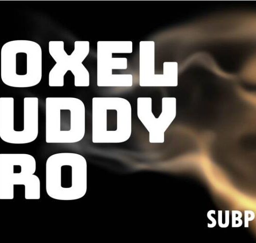 AEScripts Voxel Buddy Pro v1.0 Full Version Free Download Voxel Buddy Pro