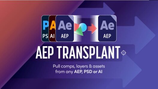 AEP Transplant