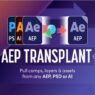 AEP Transplant