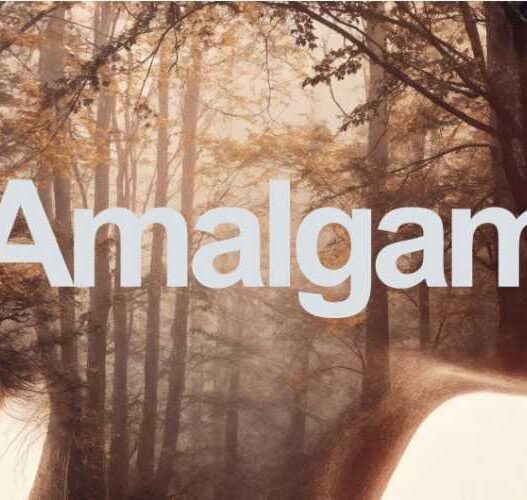 AEScripts Amalgam v1.1.3 Full Version Free Download Amalgam