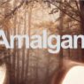 AEScripts Amalgam v1.1.3 Full Version Free Download Amalgam