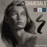 Lucas Peinador - LP Charcoal Brushes Free Download Lucas Peinador – LP Charcoal Brushes