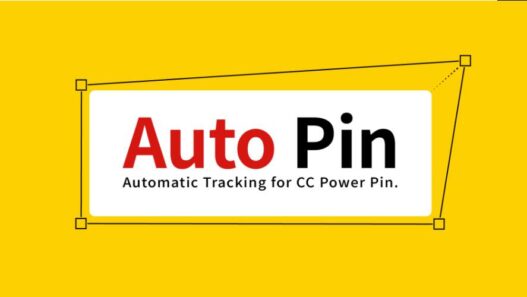 Auto Pin
