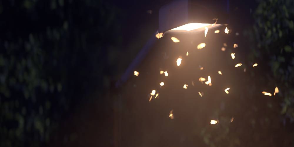 Moth Generator