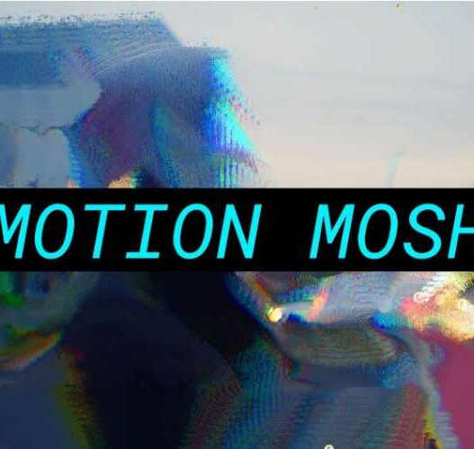 Motion Mosh